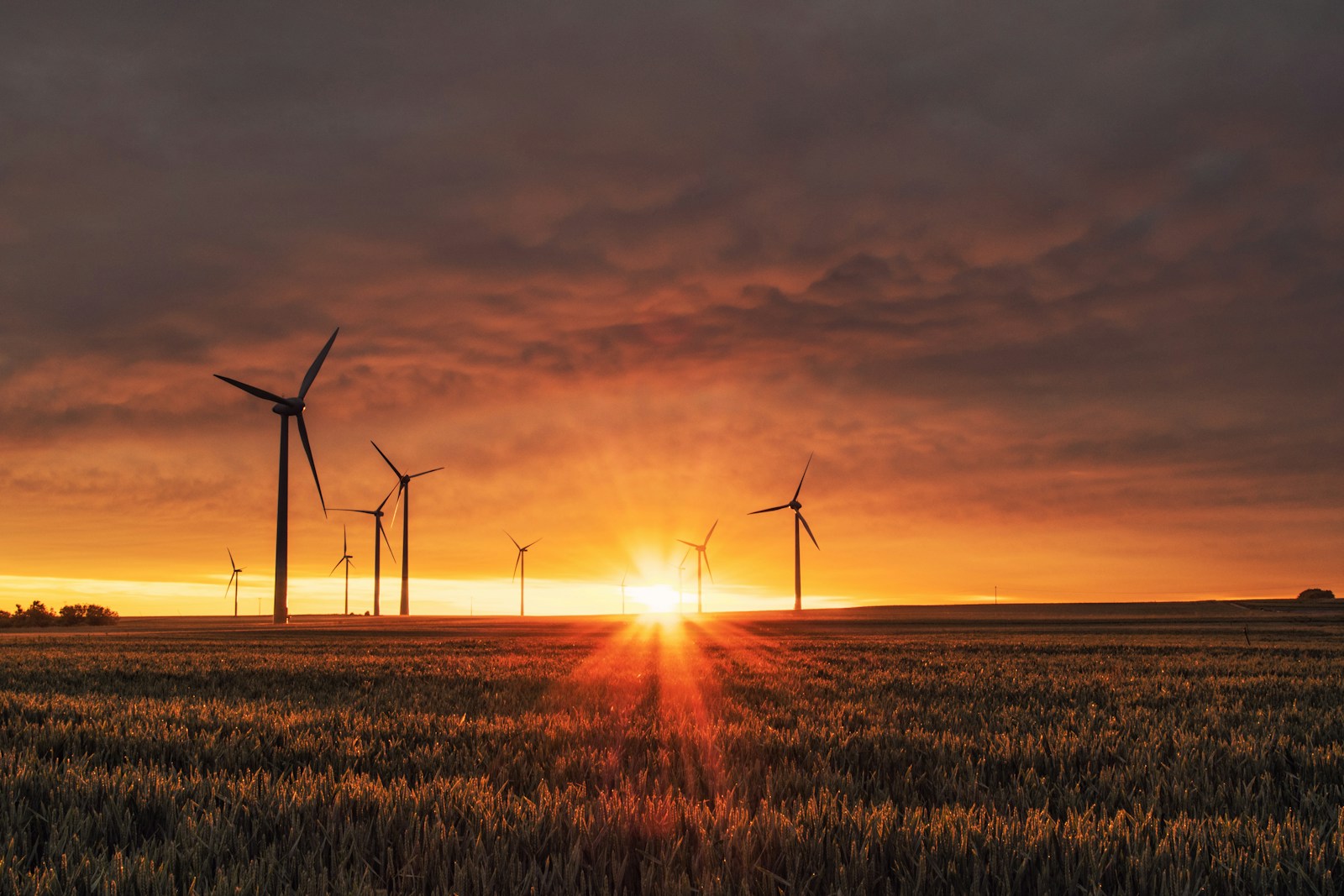 Offshore wind turbines at dusk